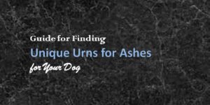 A Concise Guide for Finding Unique Urns for Ashes for Your Dog