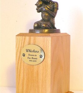 Always My Kitty – Oak