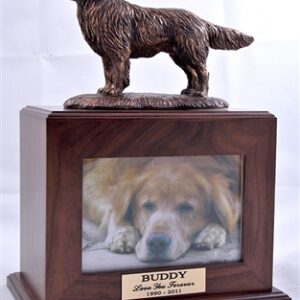 Golden Retriever Dog Walnut Urn